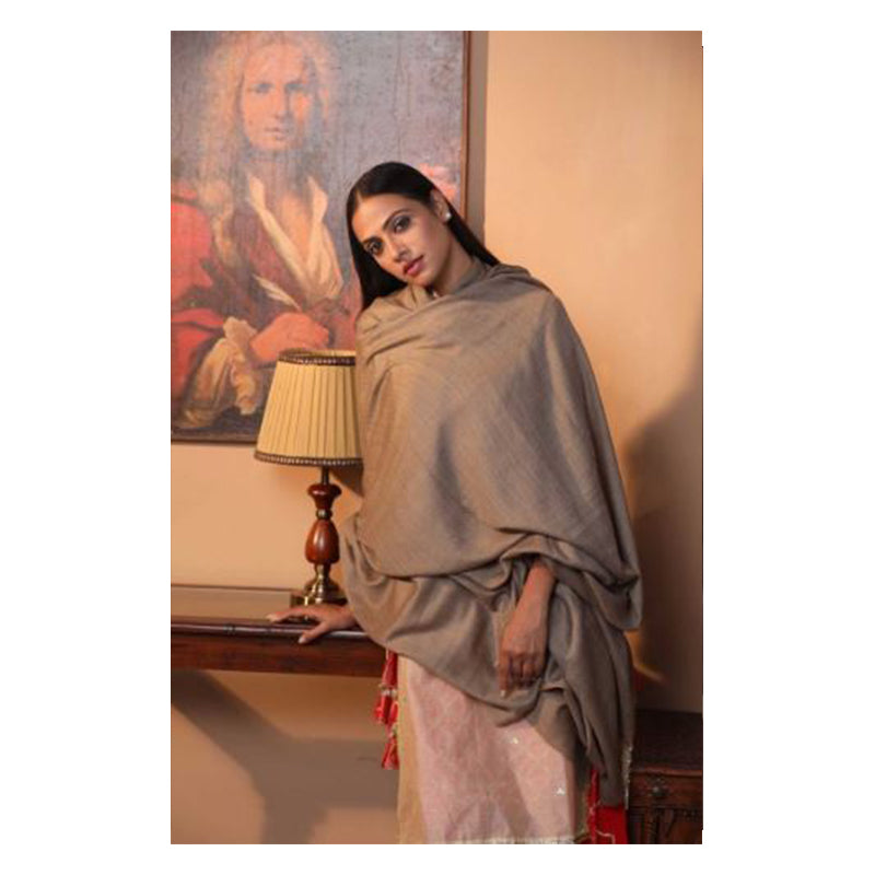 Solid Kashmiri Plain Pashmina